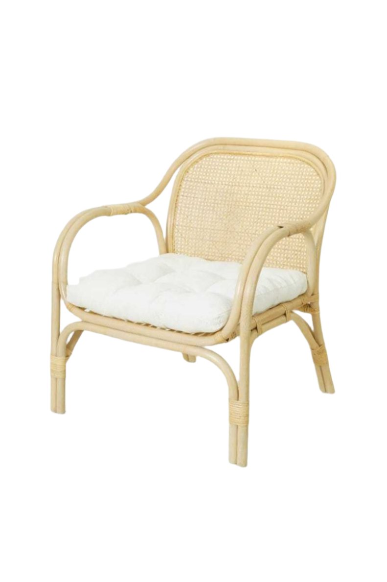 VISTA Rattan Arm Chair